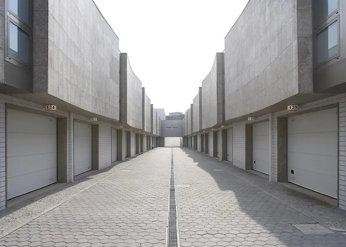 Habana ماتوسينهوس